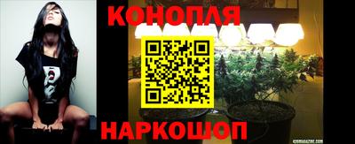 дживик Будённовск