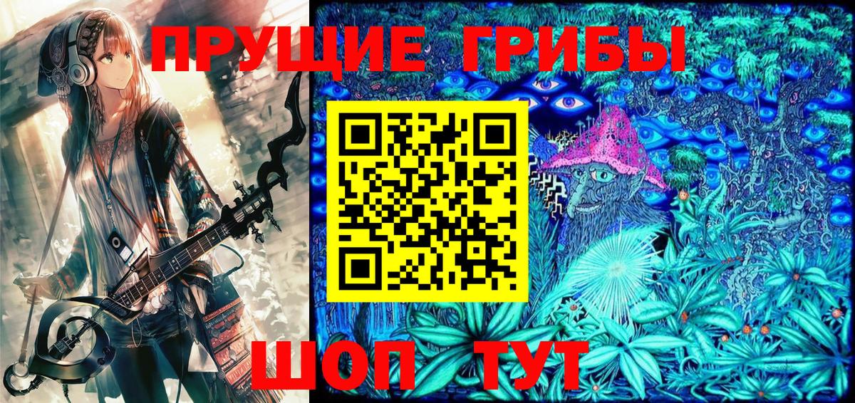 Сосновый Бор  Галлюциногенные грибы Cubensis  что такое   Вход с VPN 