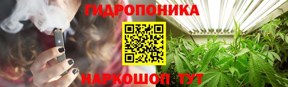 Каннабис конопля Сосновый Бор